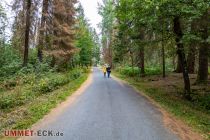 Diesen Fahrweg kann man hinauf zur Nordhelle gehen. Es gibt aber auch allerhand längere Waldwege zum Ziel. • © ummeteck.de - Silke Schön